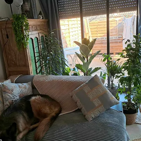 Séjour chez l'habitant Terrasse
