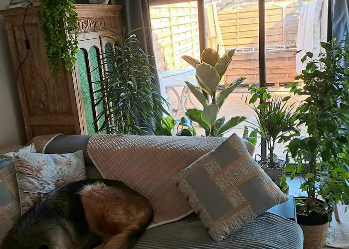 Homestay Terrasse
